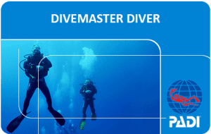 PADI Divemaster course ***