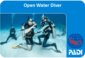 PADI Open Water Diver course ***