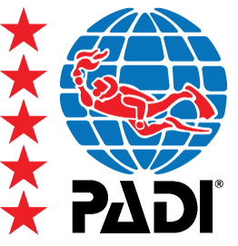 5 star PADI