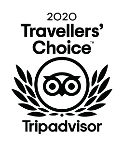 2020-Travellers-Choice-logo