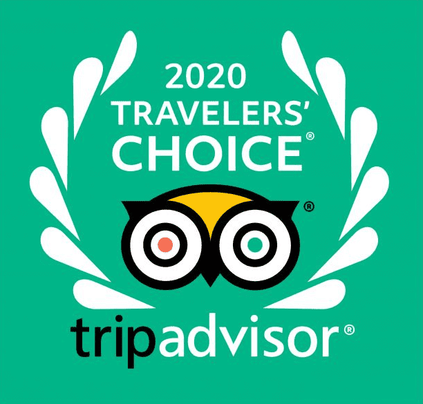 2020-Travellers-Choice-logo groen