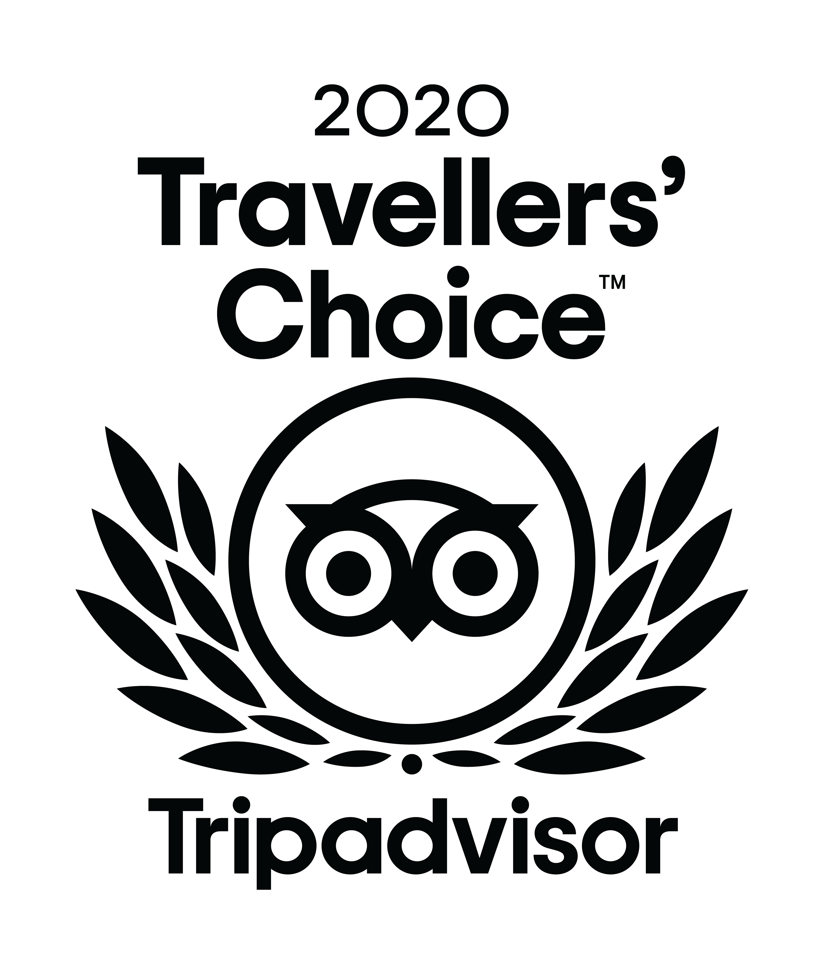 2020-Travellers-Choice-logo