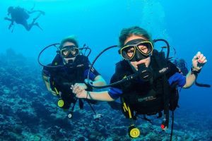 Introductory Dives